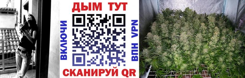 Виды наркоты Мензелинск Псилоцибиновые грибы  Гашиш  Бутират  COCAIN  Марихуана 