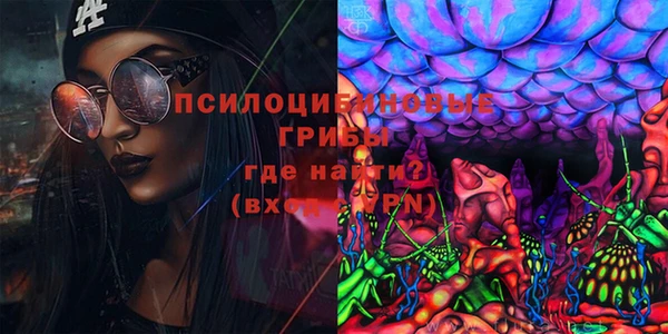 индика Лагань