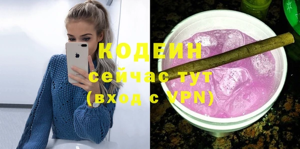крисы Дубна