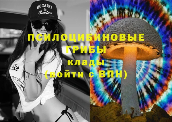 Альфа ПВП Лабытнанги